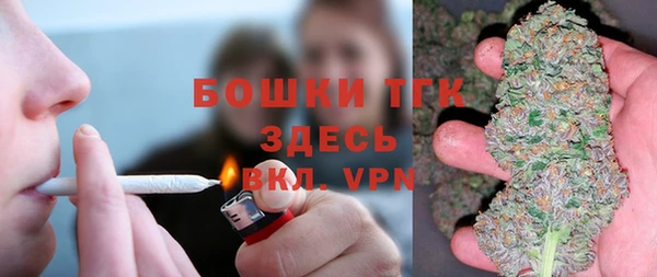 бошки Алексин
