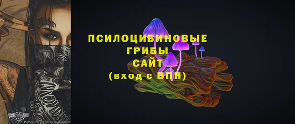 бошки Алексин