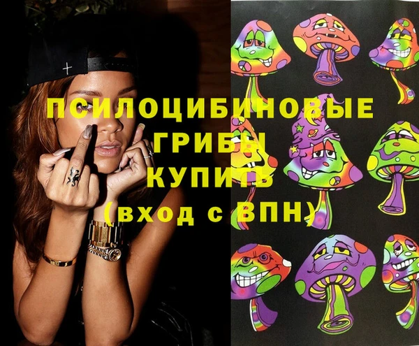 бошки Алексин
