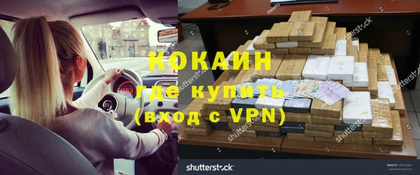 бошки Алексин