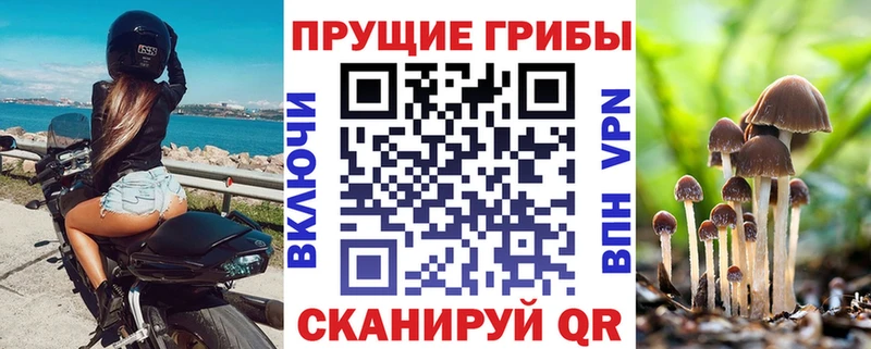 Галлюциногенные грибы Psilocybine cubensis  Дмитров 